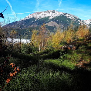 Über die Große Scheibe zur Rax
