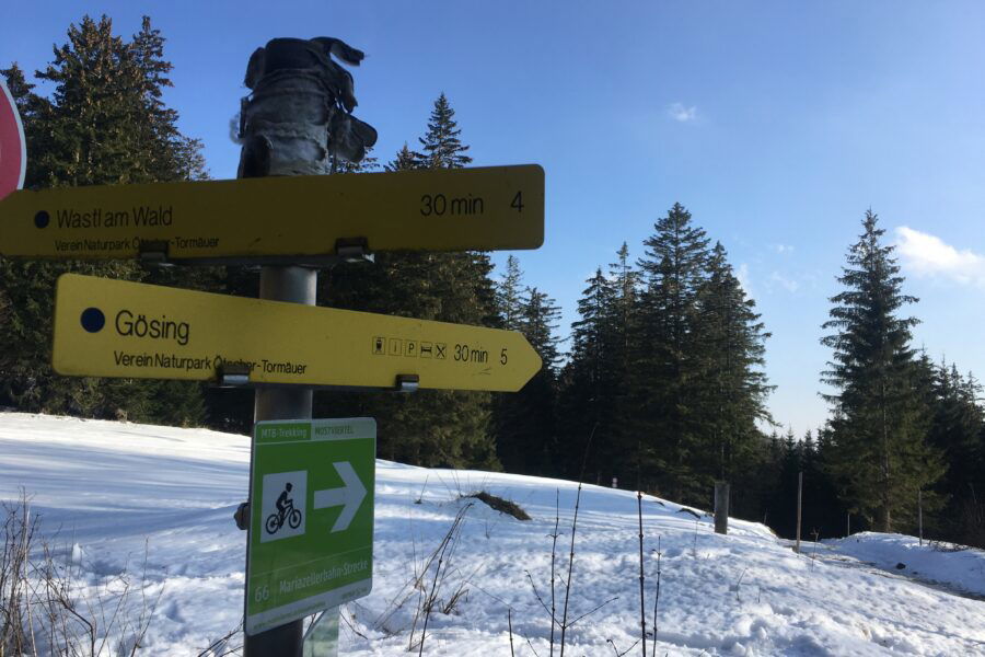 Weggabelung Wastl am Wald, Gösing. Foto Veronika Schöll