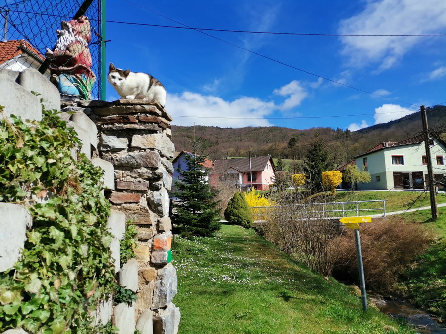 Nach Unterranna geht es hier entlang! Foto Veronika Schöll