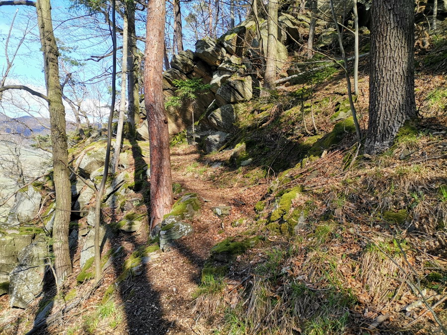 Spitzer Steig - Steirer Höhe. Foto Veronika Schöll