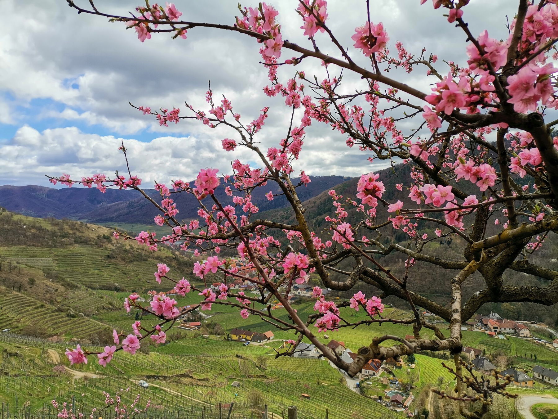 Durch den Spitzer Graben, Wachau still und aussichtsreich