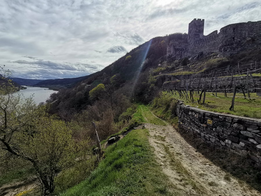 Abstieg nach Spitz. Foto Veronika Schöll