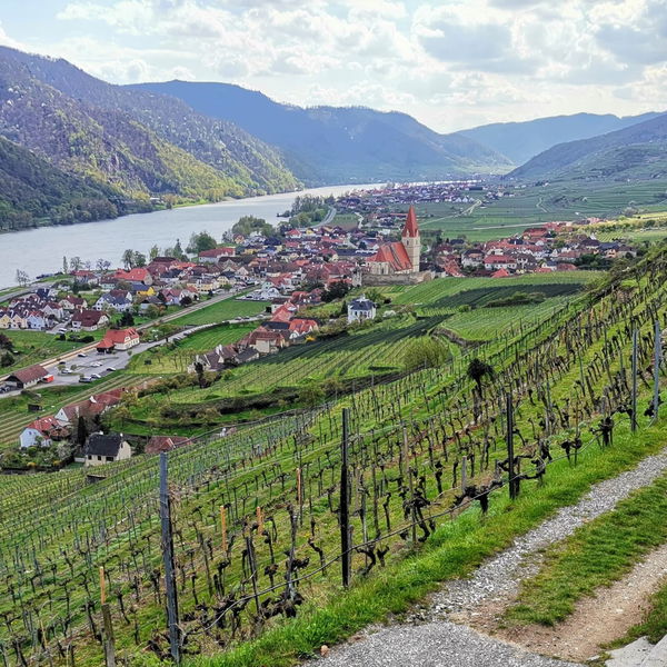 Wachau Love Story, von Dürnstein nach Weißenkirchen