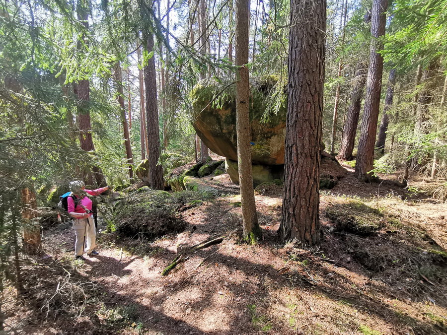 Wackelstein Nummer Eins. Foto Veronika Schöll