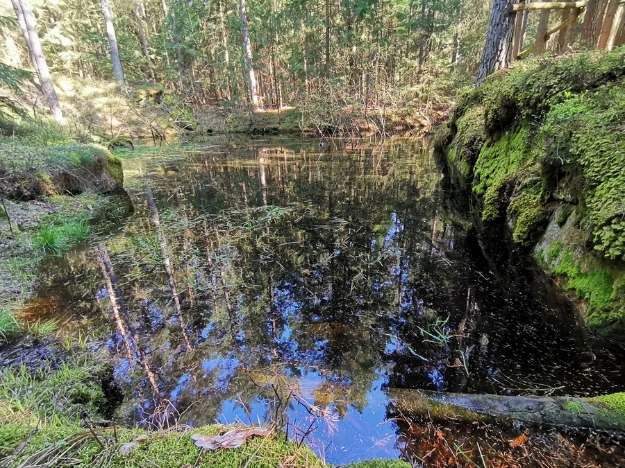 Einer der beiden Mondteiche. Foto Veronika Schöll