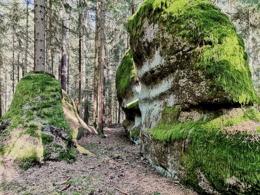 Weiß-nicht-wie-der-heißt-Stein. Foto Veronika Schöll