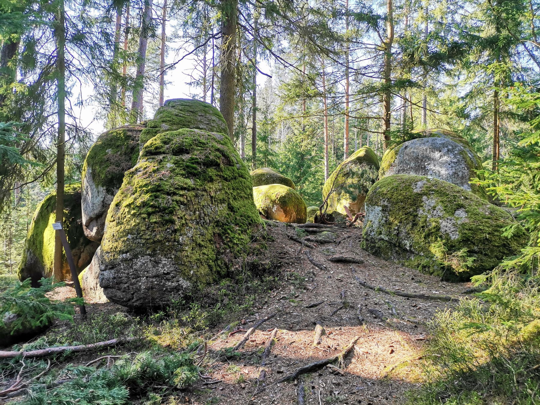 Besuch bei den Wackelsteinen