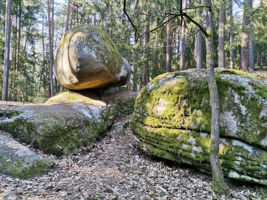 Hoheneicher Wackelstein. Foto Veronika Schöll