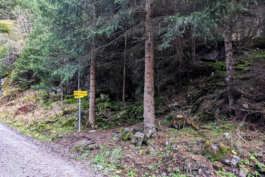 Kurz nach der Kehre nehmen wir die “Abkürzung” durch den Wald. Foto: Thomas Obermair, Protect Our Winters Austria (POW AT)