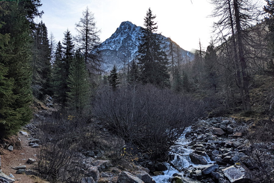 Der Wald lichtet sich und lässt Blicke auf die ersten Gipfel rund um die Verpeilhütte zu, wir staunen nicht schlecht! Foto: Thomas Obermair, Protect Our Winters Austria (POW AT)