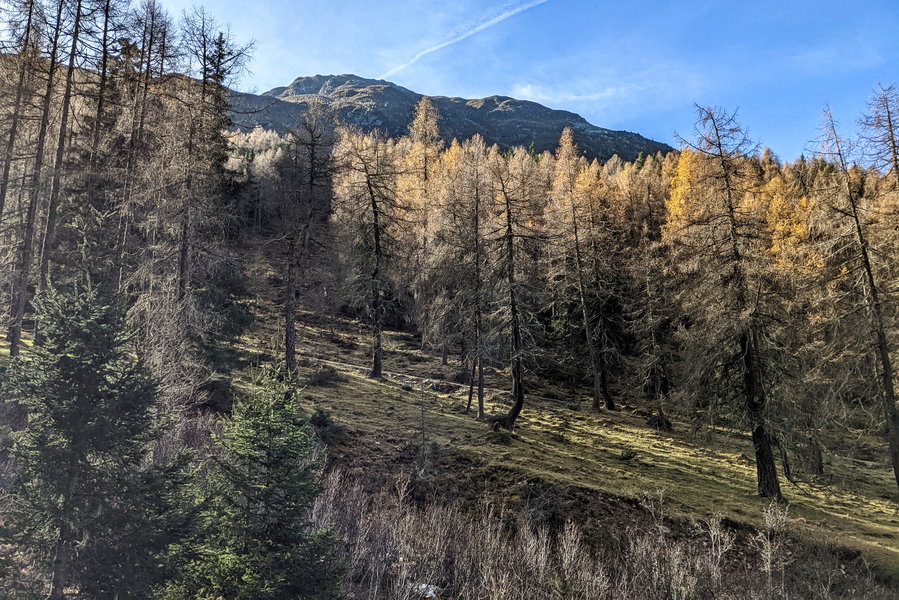 Wir erhaschen auch einen ersten Blick auf das heutige Gipfelziel - noch sieht der Mooskopf rechts außen weit entfernt aus, ist er auch! Foto: Thomas Obermair, Protect Our Winters Austria (POW AT)