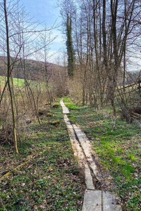 Weg Richtung Buchberg. Foto: Elke Kellner