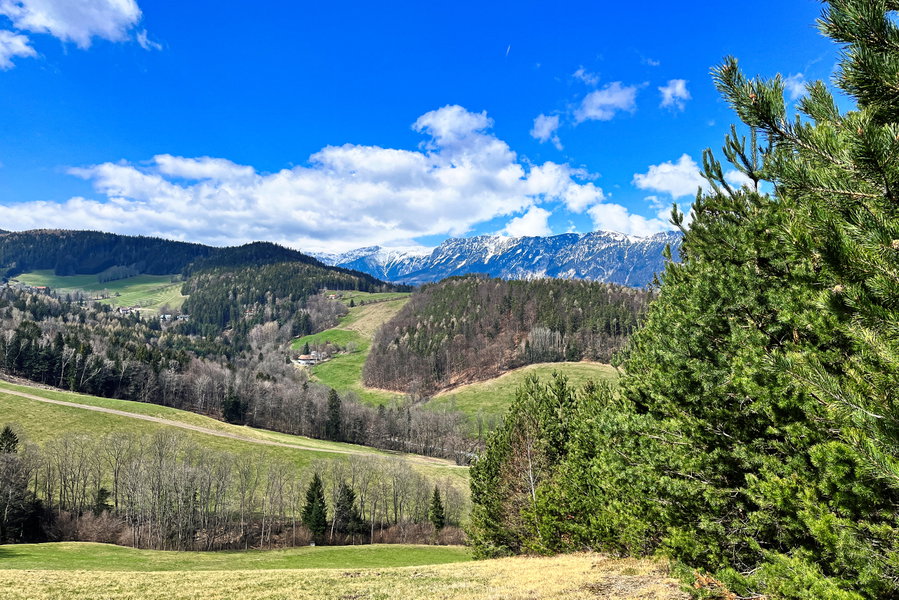 Blick zum Raxmassiv. Foto: Birgit Matzinger