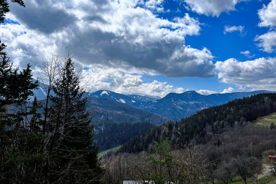 Ausblick vom Gasthaus. Foto: Birgit Matzinger