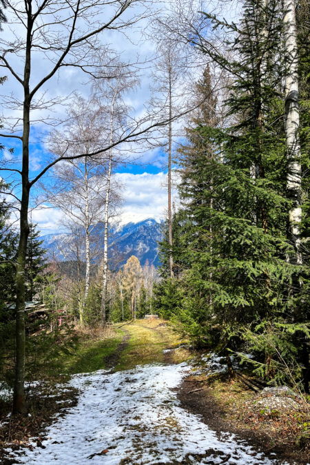Ausblick kurz nach dem Totenberg. Foto: Birgit Matzinger