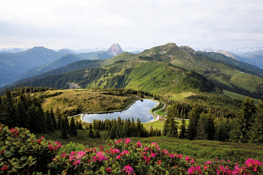 Vom Gampenkogel aus kann man den Ausblick auf die sanften Kitzbüheler Grasberge und die Hohen Tauern am Horizont genießen. Foto: Mathäus Gartner, TVB Kitzbüheler Alpen - Brixental