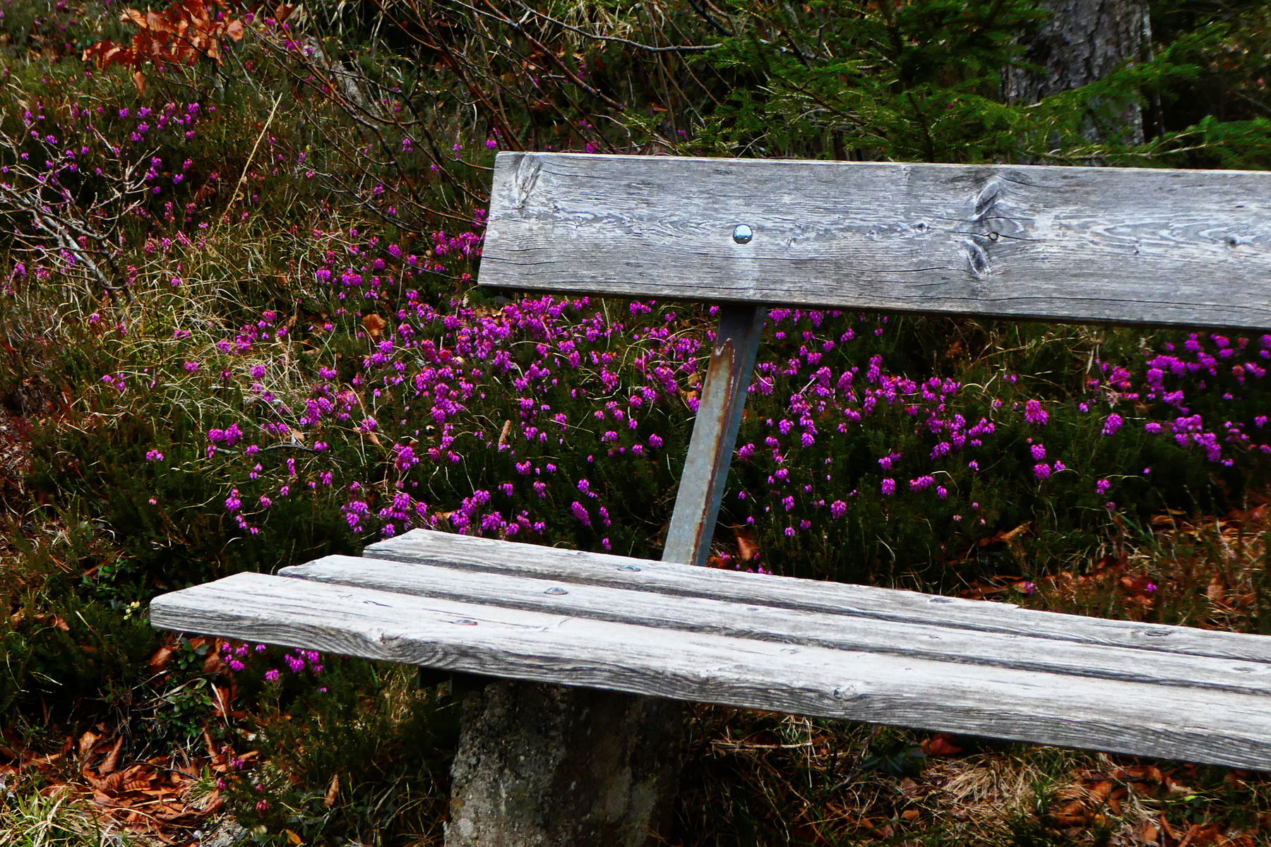Tiefblicke in die Strubklamm