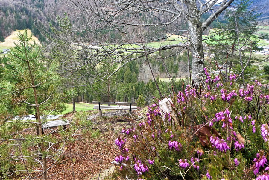 Rast genießen. Foto: Karl Plohovich