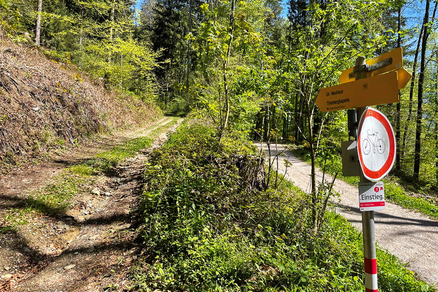 Abzweigung Waldweg Richtung Thierbergkapelle. Foto: Eva Maria Ginal