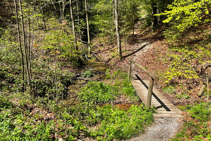 Brücke über Seitenarm vom Gailbach. Foto: Eva Maria Ginal