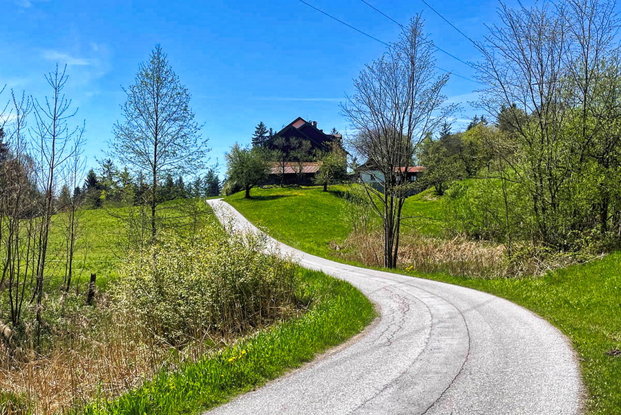 Güterweg zum Gasthaus Neuhaus. Foto: Eva Maria Ginal