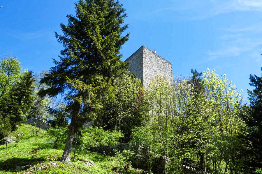 Ruine Thierberg. Foto: Eva Maria Ginal
