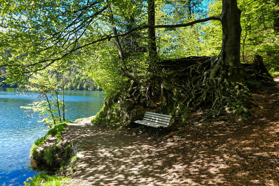 Mein Rastbankerl am Hechtsee. Foto: Eva Maria Ginal