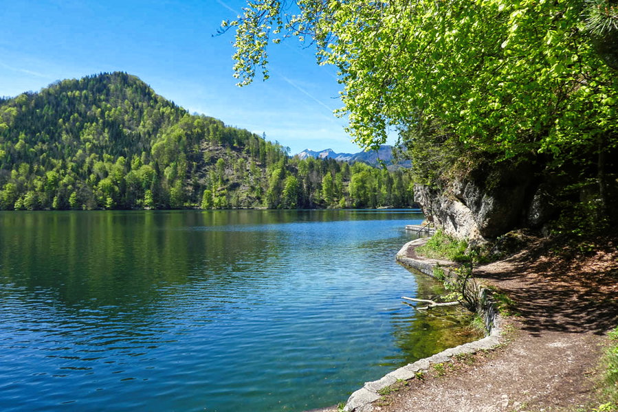 Nordöstlicher Uferweg Hechtsee. Foto: Eva Maria Ginal
