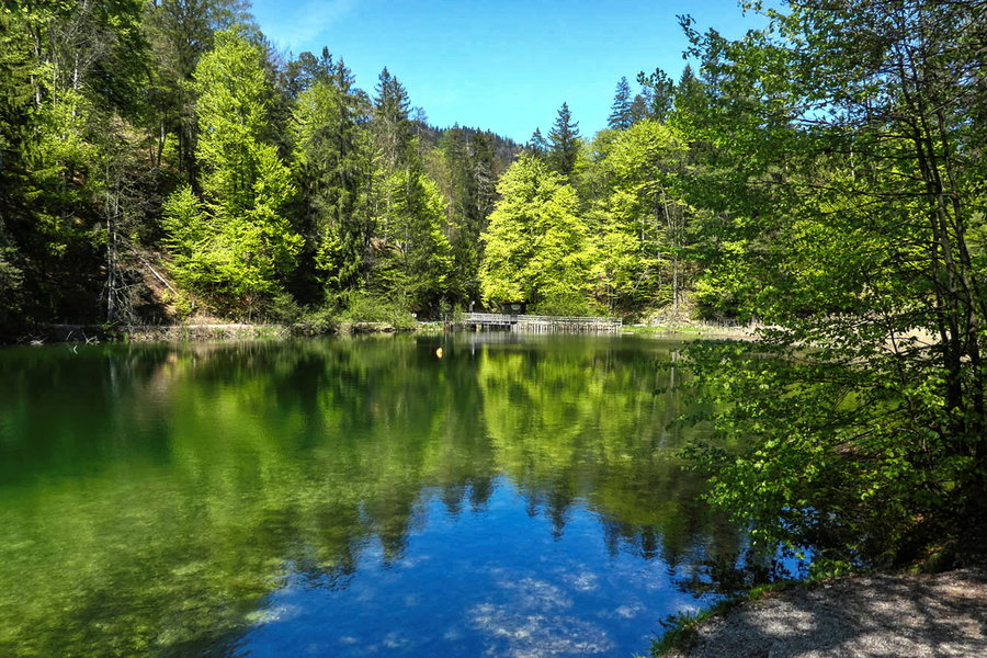 Blick auf das nördliche Hechtsee Ufer. Foto: Eva Maria Ginal