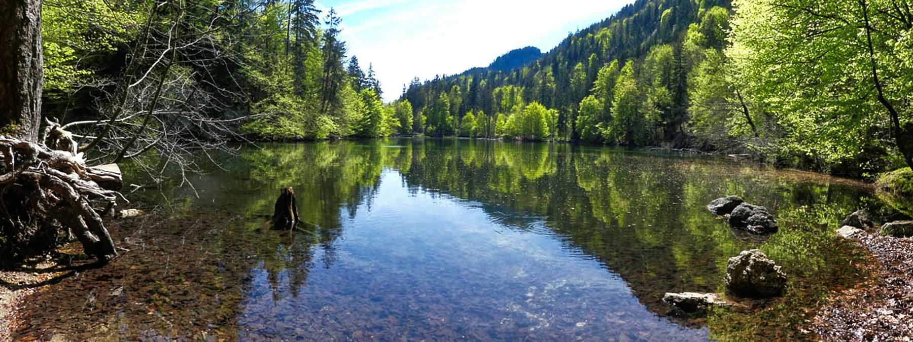 Blick vom Ostufer Längsee. Foto: Eva Maria Ginal