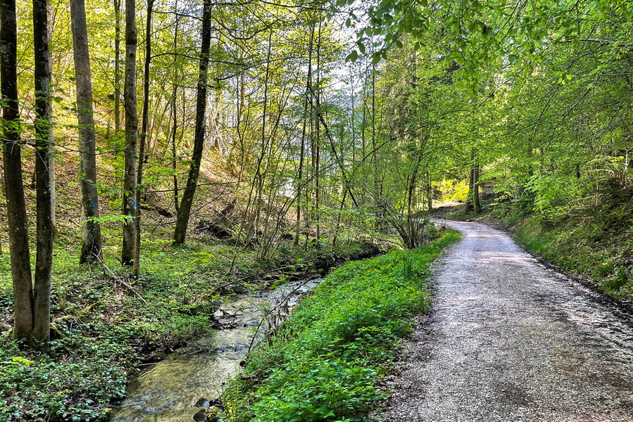 Am Rande von Kufstein. Foto: Eva Maria Ginal
