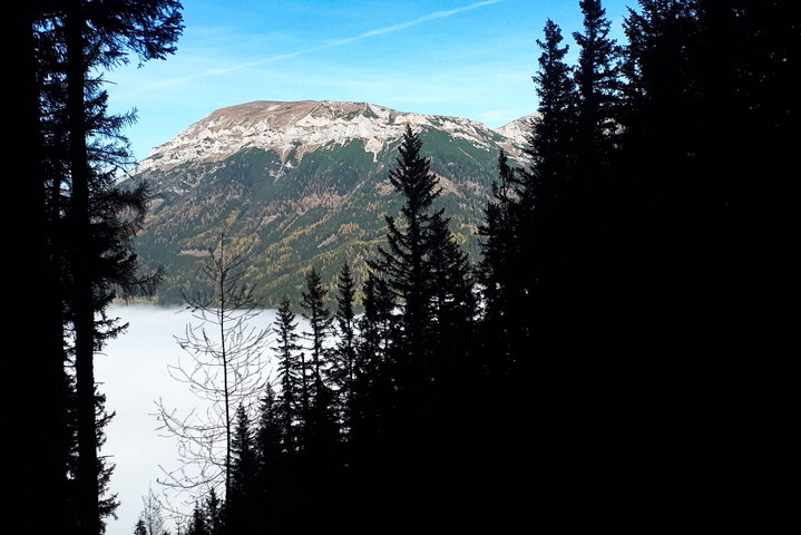 Foto: Gerold Petritsch