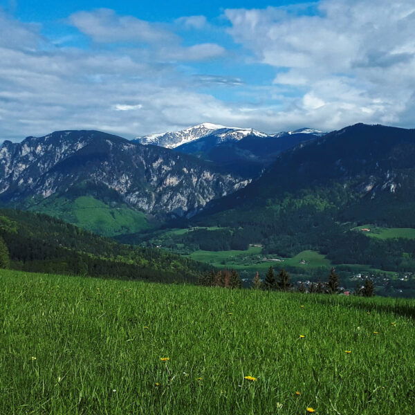 Foto: Gerold Petritsch