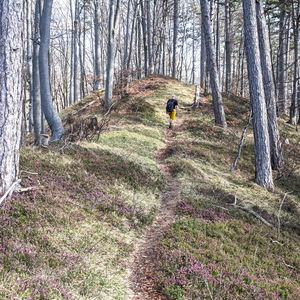 2-Tages Frühlingstour durch die Gutensteiner Alpen: von Hainfeld über die Araburg, das Kieneck und den Unterberg nach Gutenstein