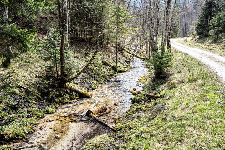 Entlang des Radersbach. Foto: Birgit Reiter