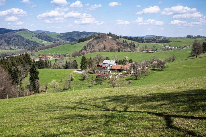 Perfekte Wiesen für ein Picknick 2. Foto: Birgit Reiter