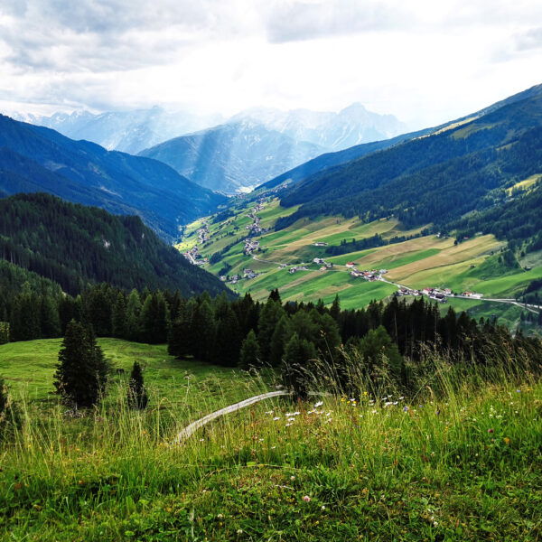 Titelbild Naviser Almenrunde. Foto: Tourismusverband Wipptal