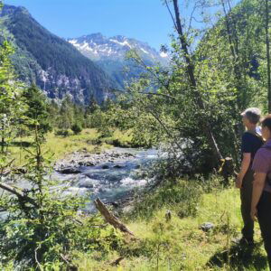 Im Seebachtal, dem vielleicht schönsten Hochgebirgstal der Hohen Tauern