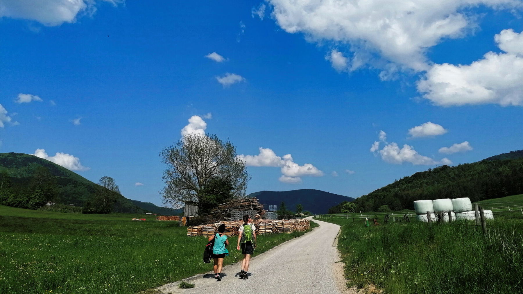 Auf Waidmannsfeld zu. Foto: Sarah Pallauf
