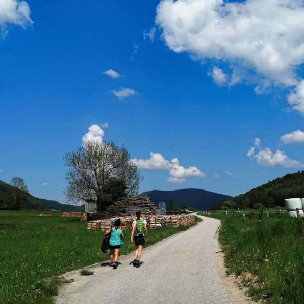 Auf Waidmannsfeld zu. Foto: Sarah Pallauf