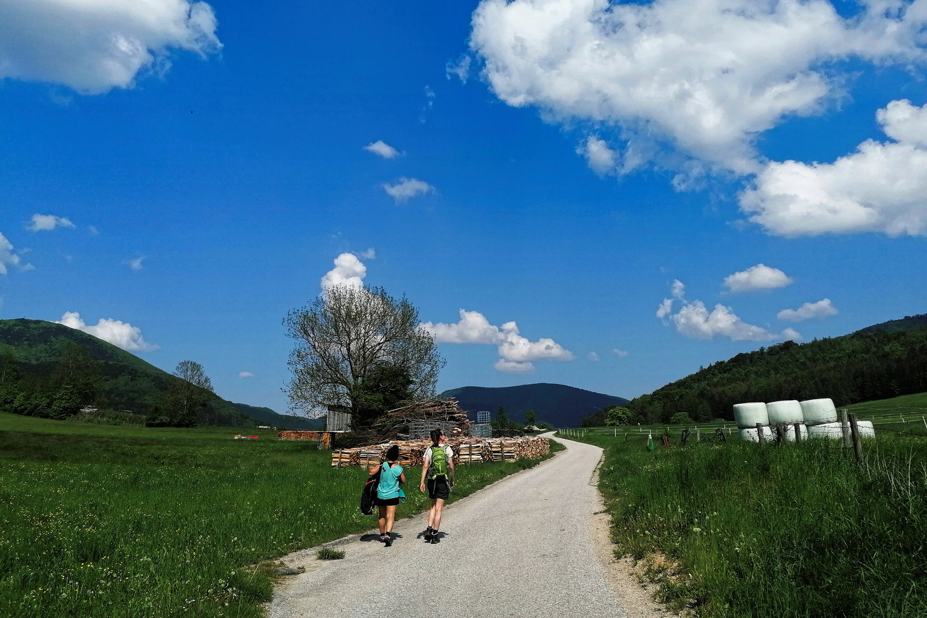 Auf Waidmannsfeld zu. Foto: Sarah Pallauf