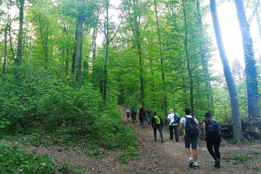 Aufstieg zur Kreuzeichenwiese. Foto: Sarah Pallauf