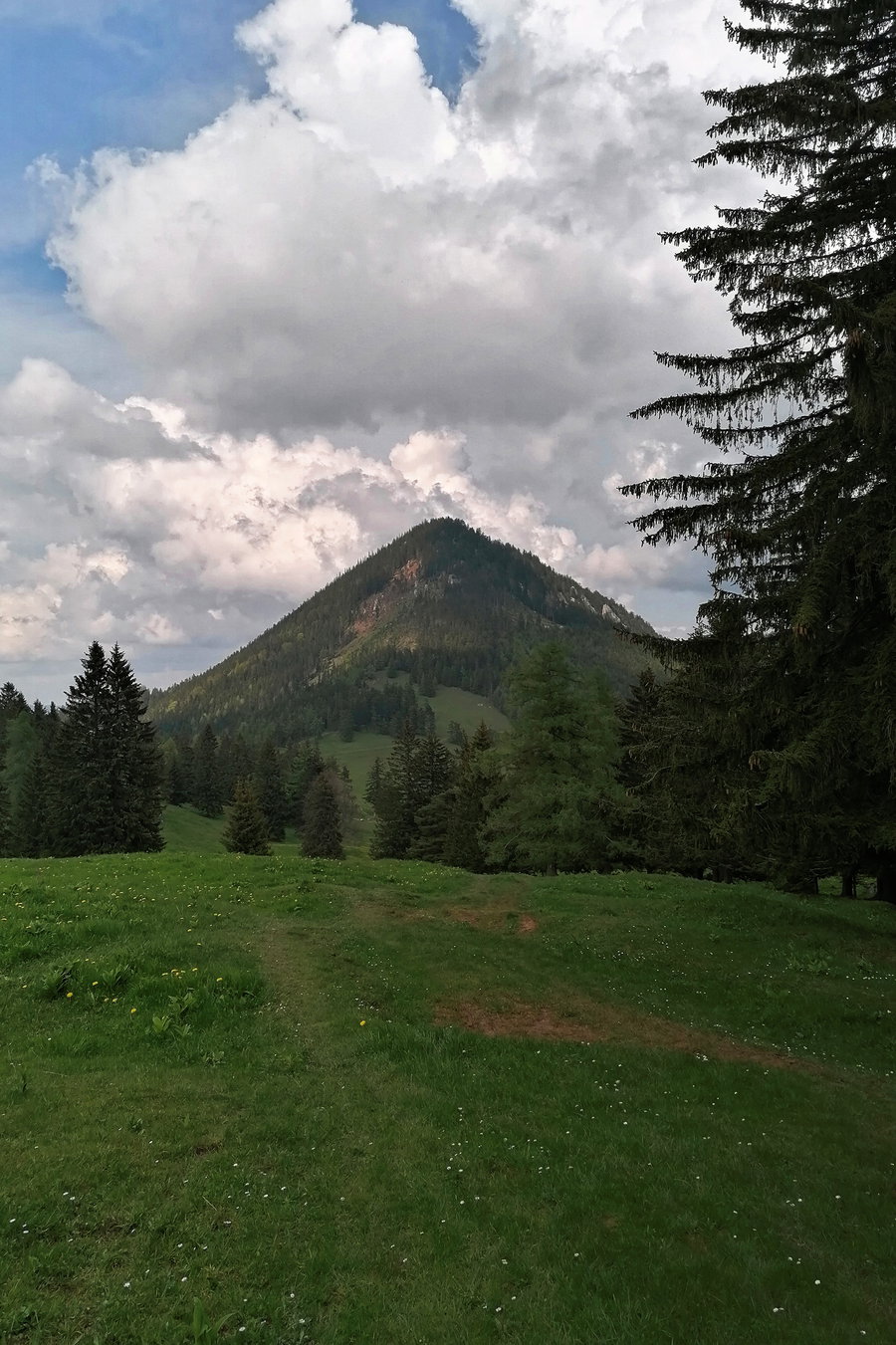 Da isser schon, der Schober. Foto: Sarah Pallauf