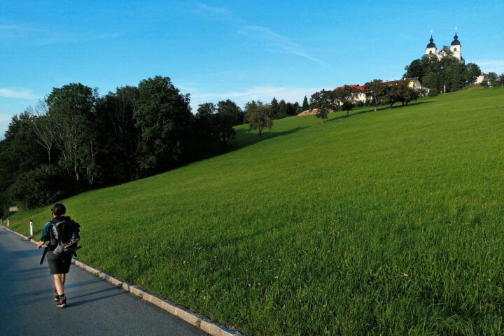 Da ist sie schon. Foto: Sarah Pallauf