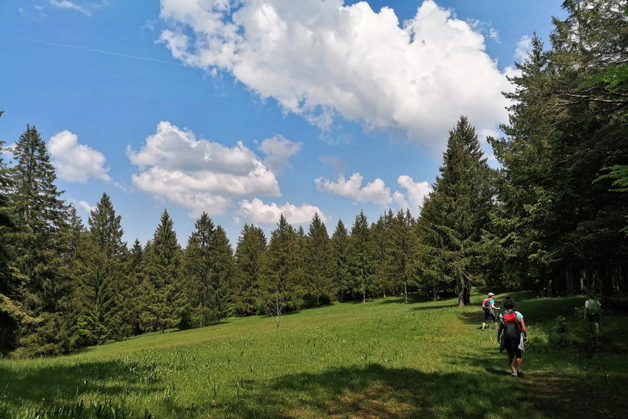 Eine echte Genusswanderung. Foto: Sarah Pallauf