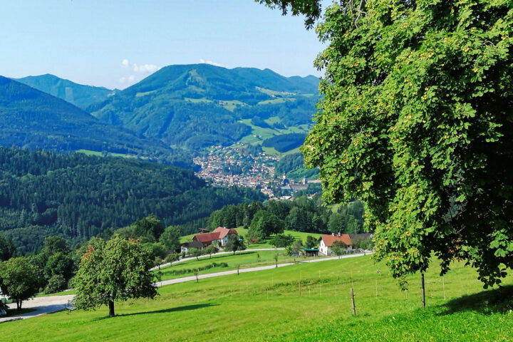 Erster Blick zurück auf Waidhofen. Foto: Sarah Pallauf