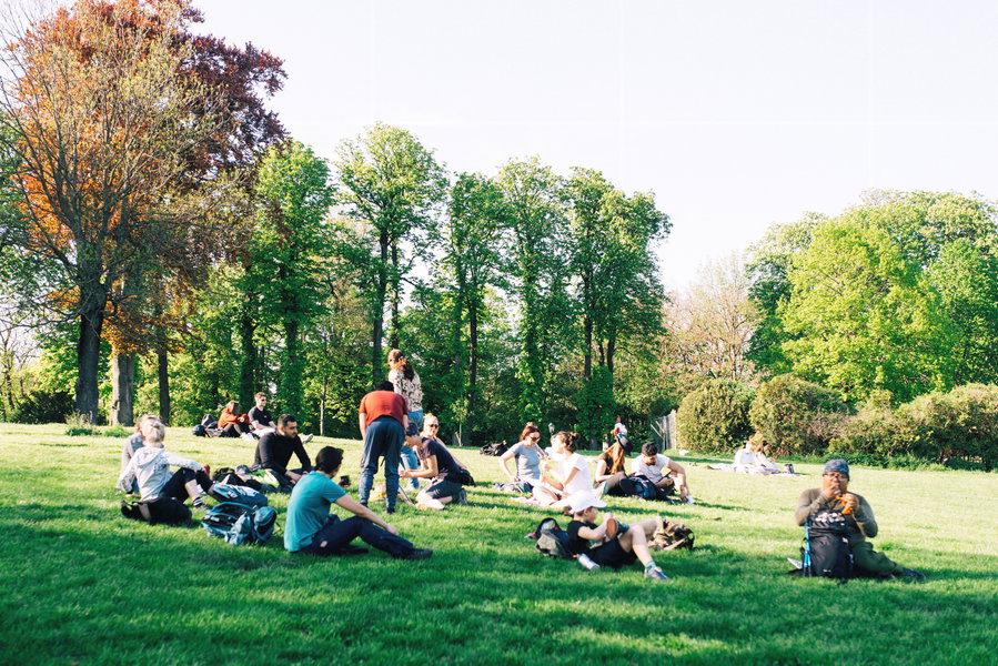 Gemütliche Wiesenpause. Foto: Inna Kravchenko