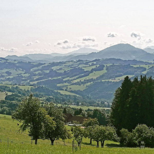 Lasst uns übers Klima reden! Höhenwanderung von Waidhofen über den Sonntagberg nach Rosenau