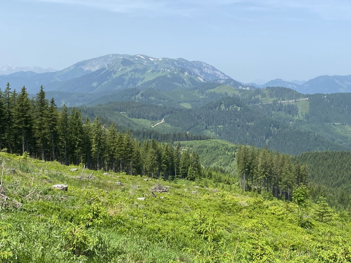 Aussicht auf die Schneealpe. Foto: Peter Backé