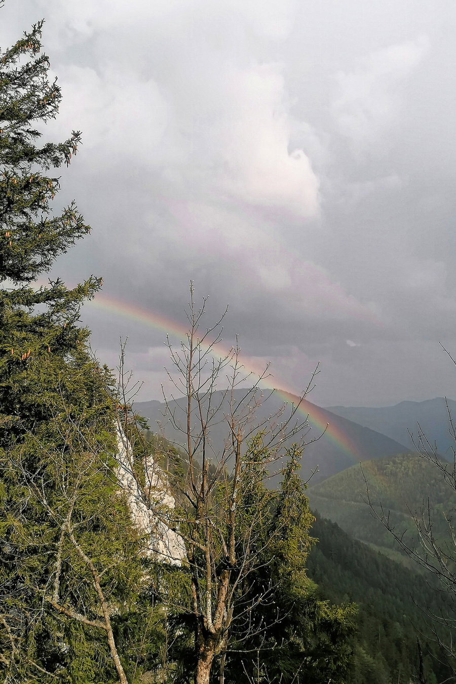 Over the rainbow. Foto: Sarah Pallauf